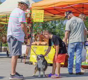 Farmers Market Franklin, Indiana