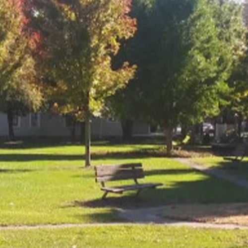 PROVINCE PARK DOG PARK