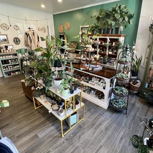 THE GROVE COLLECTIVE