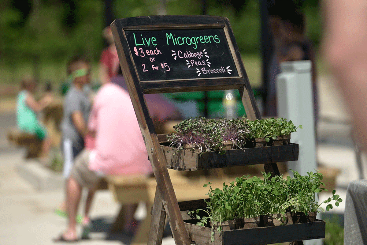 Franklin Farmers Market